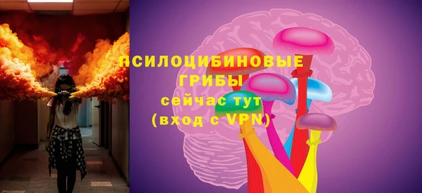 PSILOCYBIN Белоозёрский