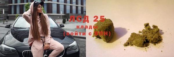 прущие крисы Беломорск