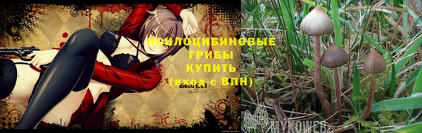 PSILOCYBIN Белоозёрский