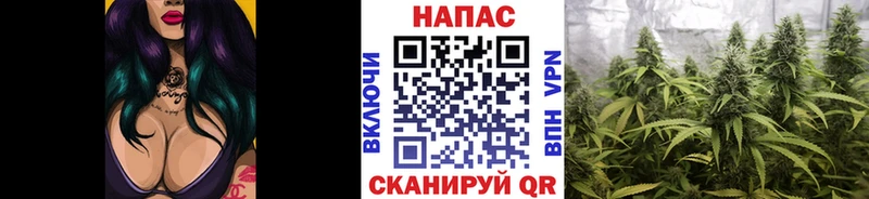 Конопля тримм  хочу наркоту  Шиханы 